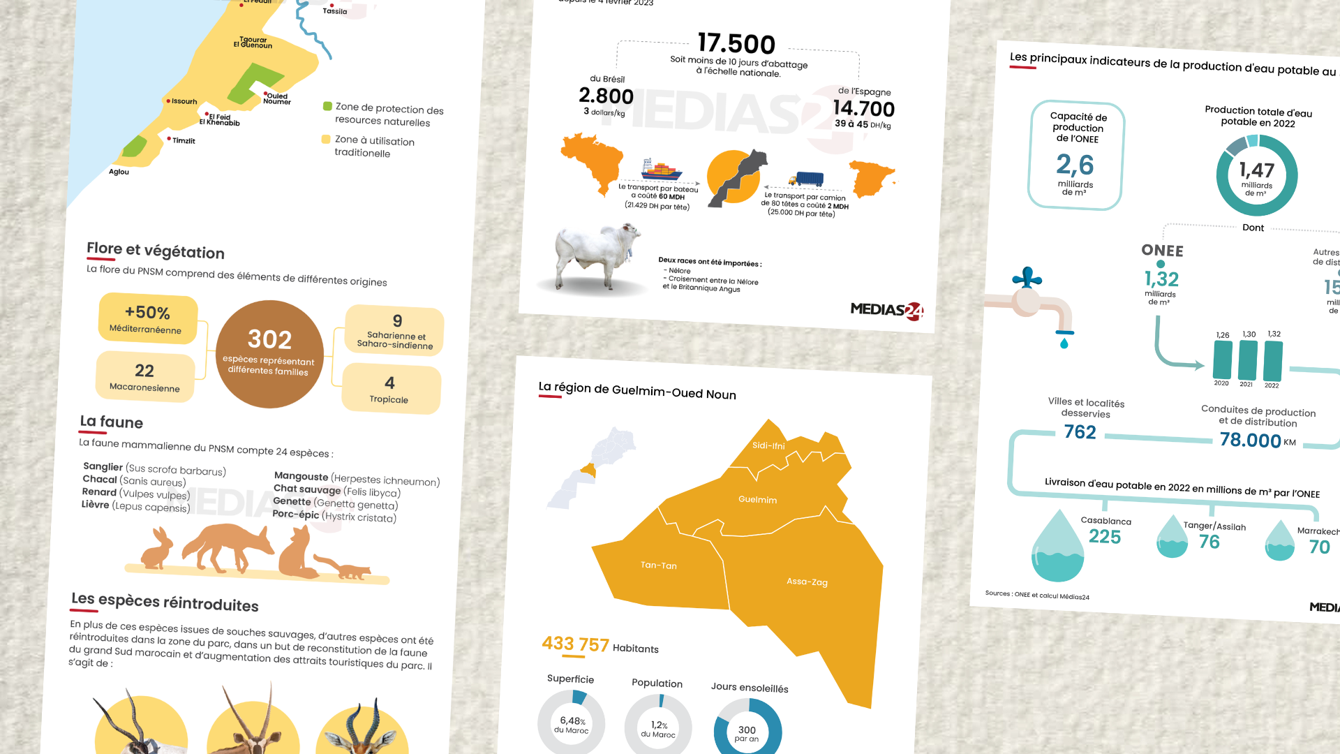 Infographics (FR)